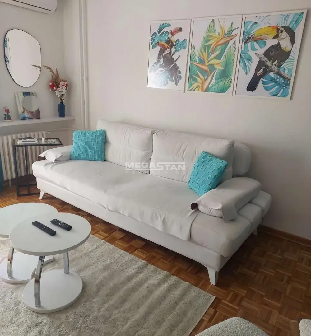 Rent, two bedroom apartment, 51m², Novi Beograd Blok 62, Novi Beograd Sve Podlokacije