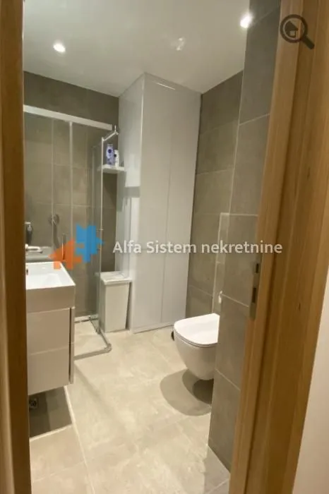Rent, two bedroom apartment, 45m², Južni Bulevar, Vračar Sve Podlokacije