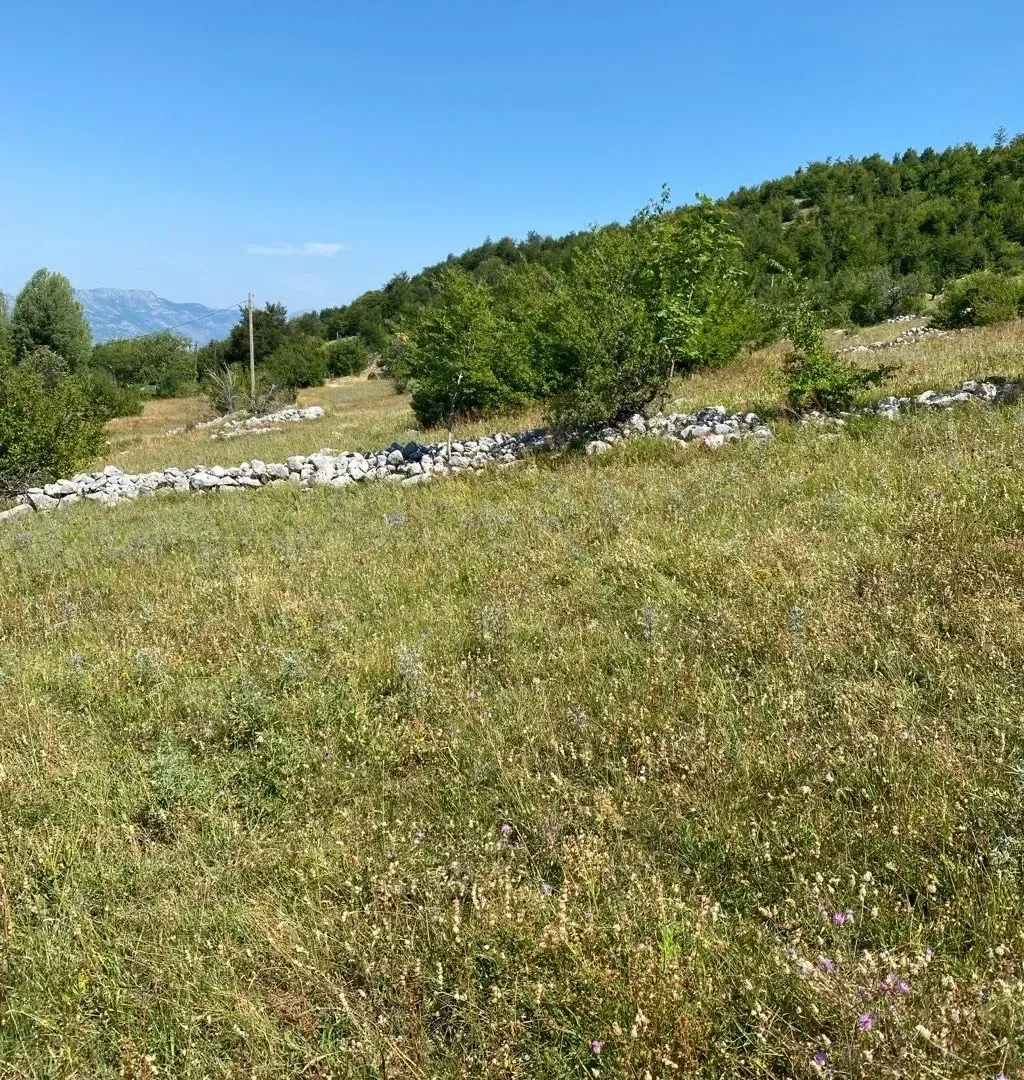 Sale, land lot, 30000m², Kuči, Podgorica
