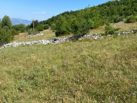 Sale, land lot, 30000m², Kuči, Podgorica - image 8