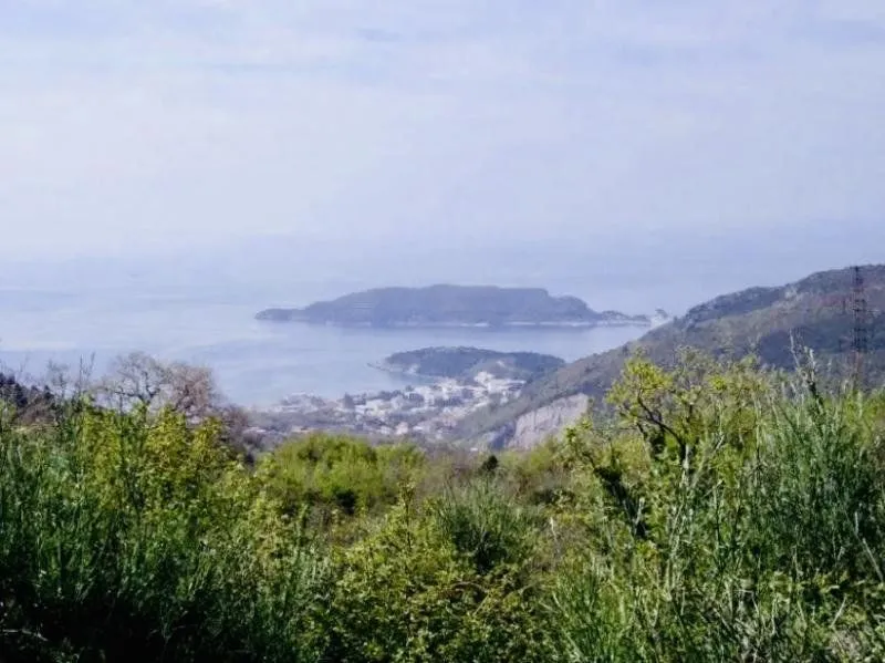 Prodaja, plac, 422m², Markovići, Budva