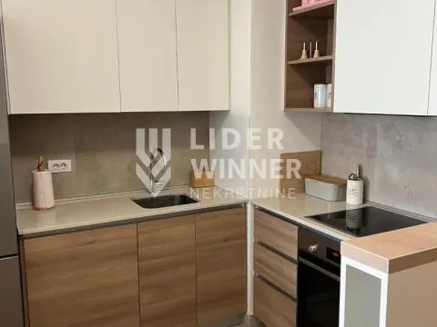 Izdavanje, dvosoban stan, 54m², Savski Venac, Beograd - image 8