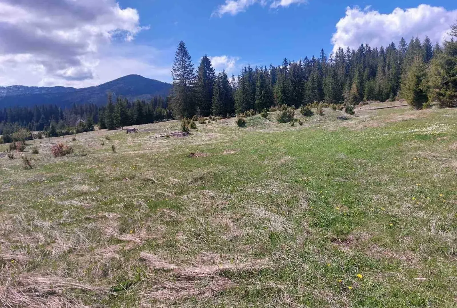 Prodaja, plac, 17505m², Žabljak, Crna Gora