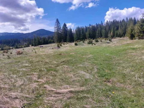 Prodaja, plac, 17505m², Žabljak, Crna Gora - image 10