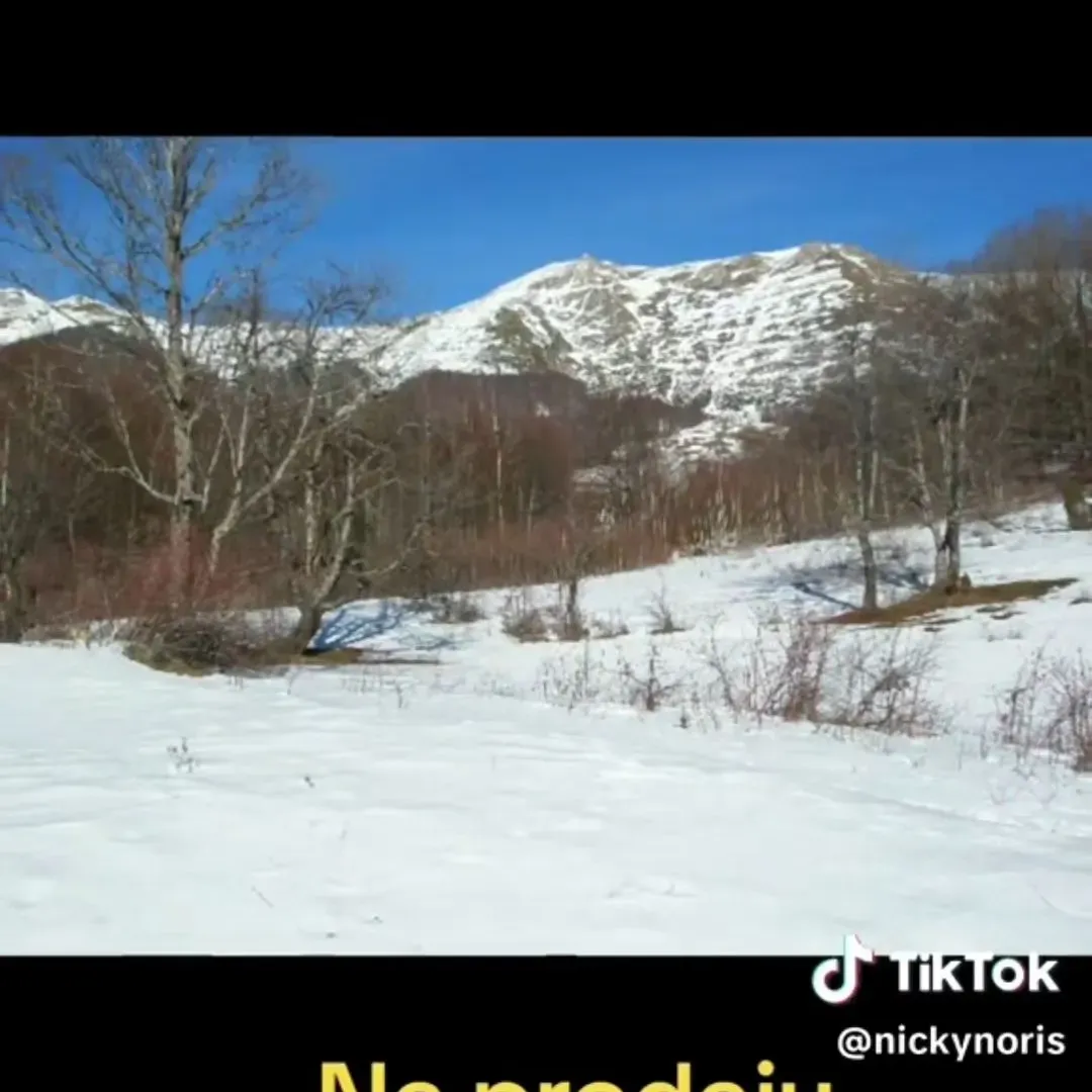 Prodaja, plac, 100000m², Sela, Kolašin