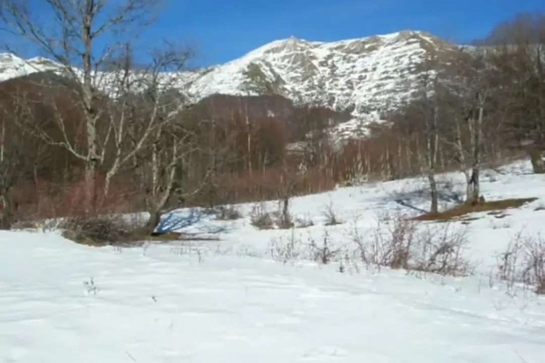 Sale, land lot, 100000m², Sela, Kolašin