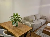 Izdavanje, jednosoban stan, 46m², Stari Aerodrom, Podgorica - image 4