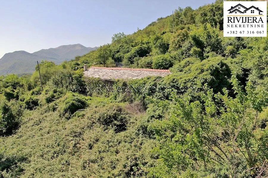 Prodaja, plac, 7294m², Mokrine, Herceg Novi