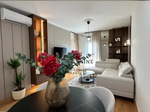 Izdavanje, jednosoban stan, 46m², Centar, Podgorica - image 9