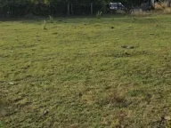 Prodaja, plac, 1270m², Velika Ivanča, Mladenovac - image 2