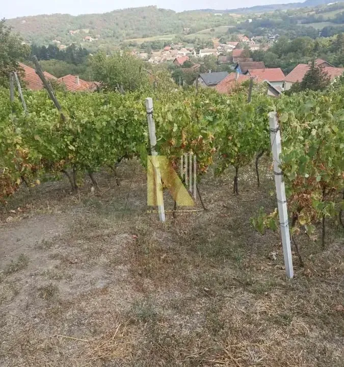 Sale, land lot, 3900m², Beočin, Srbija