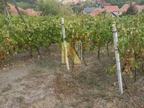 Prodaja, plac, 3900m², Beočin, Srbija - image 1