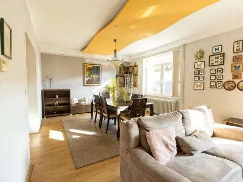 Sale, house, 240m², Salajka, Novi Sad Sve Podlokacije - image 17