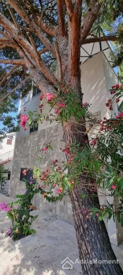 Sale, house, 175m², Utjeha, Bar