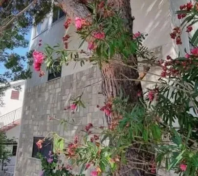 Sale, house, 175m², Utjeha, Bar - image 11