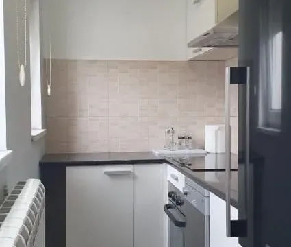 Izdavanje, jednosoban stan, 42m², Vračar Sve Podlokacije, Beograd - image 8