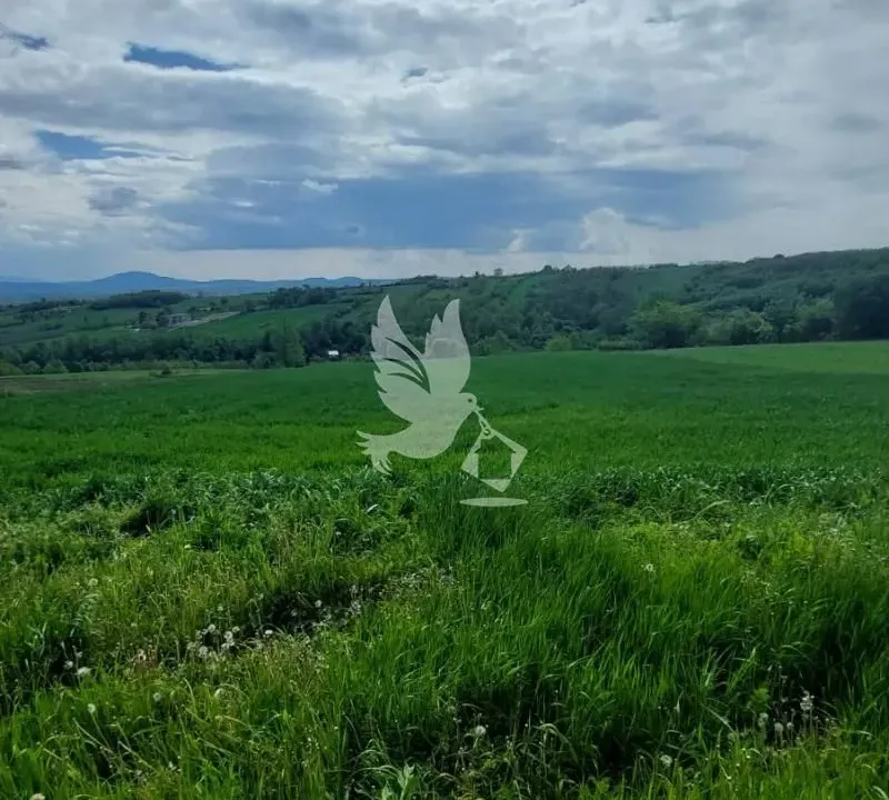 Sale, land lot, 4000m², Koraćica, Mladenovac