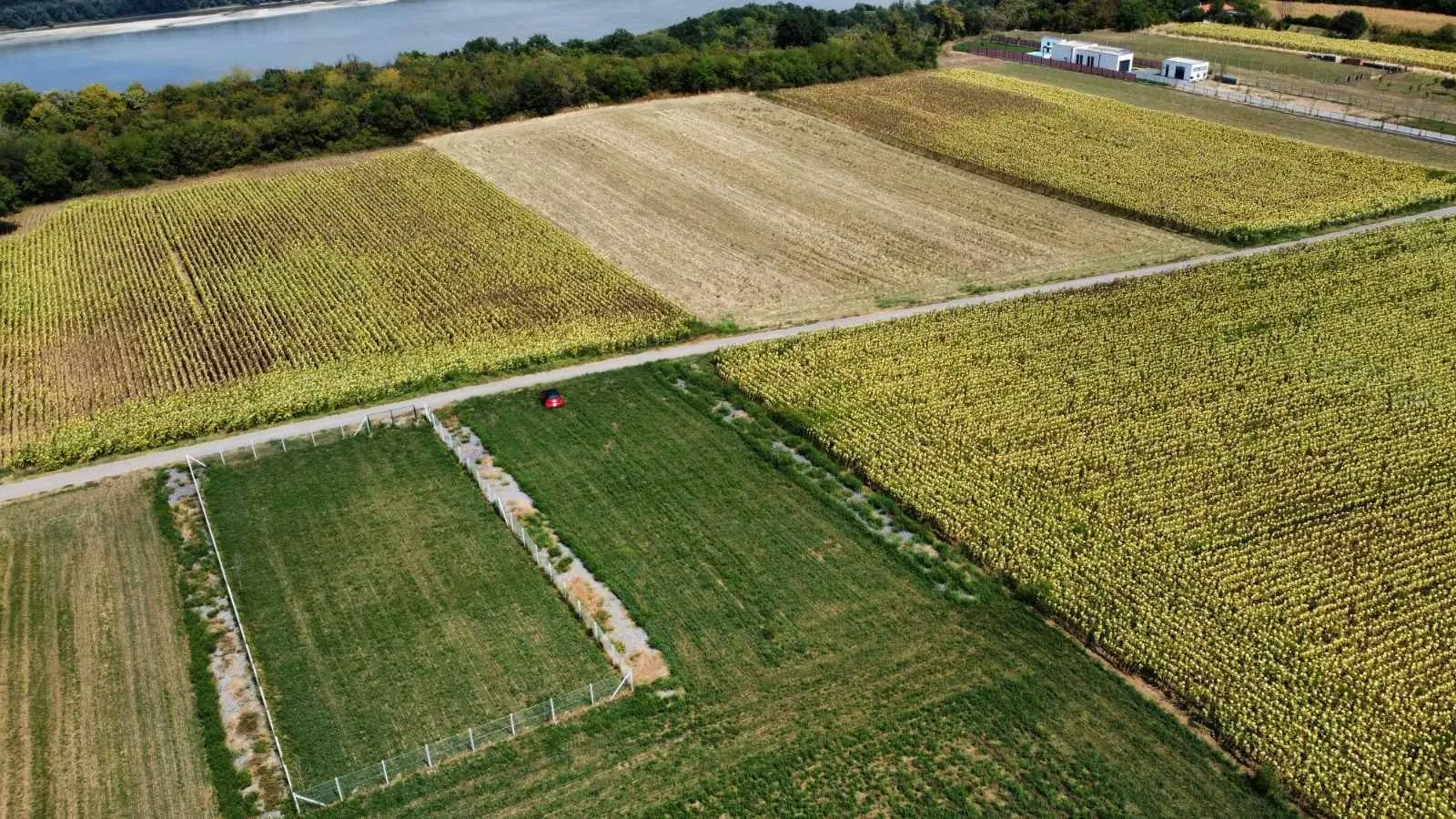 Prodaja, plac, 1000m², Čortanovci, Inđija