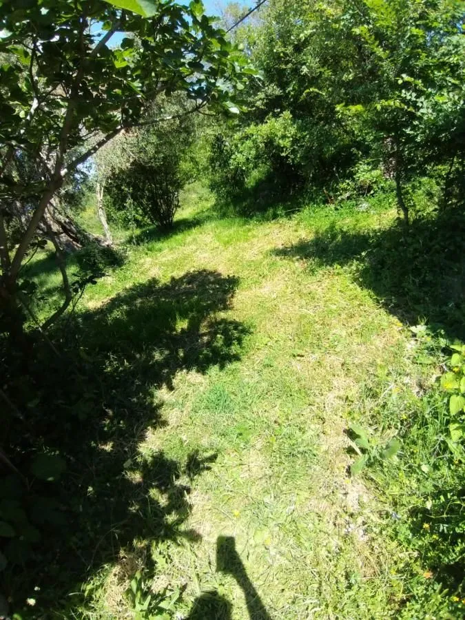 Prodaja, plac, 1700m², Kavač, Kotor