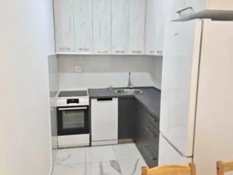 Izdavanje, jednosoban stan, 40m², Ljubović, Podgorica - image 4