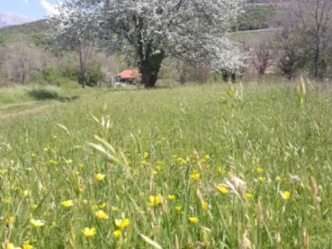  Land Lot for Sale, 2721m2, Kovači, Kotor