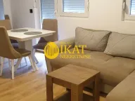 Izdavanje, jednosoban stan, 43m², Vojvode Vlahovica, Beograd - image 1