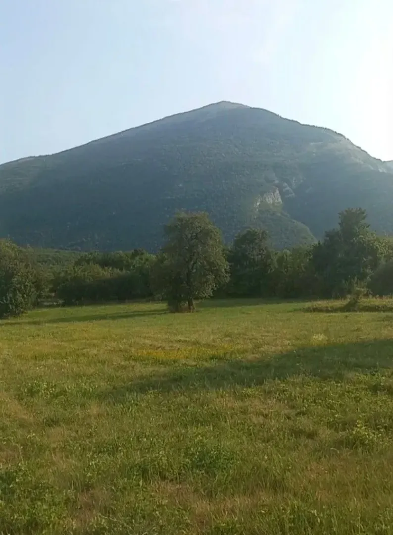 Sale, land lot, 13232m², Mirovo, Boljevac