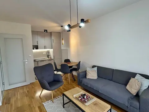 Rent, one bedroom apartment, 40m², Zabjelo, Podgorica - image 1