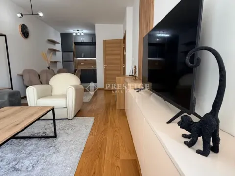 Izdavanje, jednosoban stan, 48m², New City, Podgorica - image 4