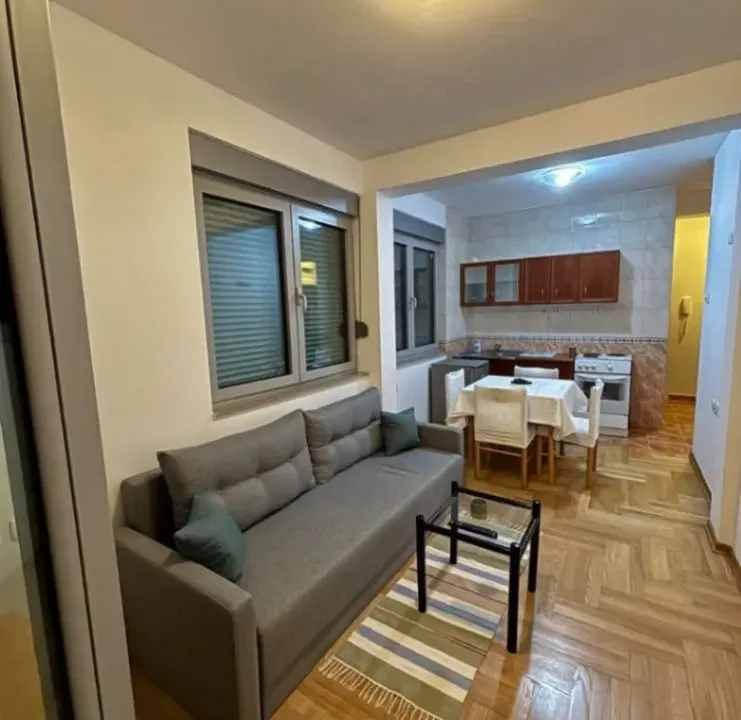 Rent, studio apartment, 27m², Zabjelo, Podgorica