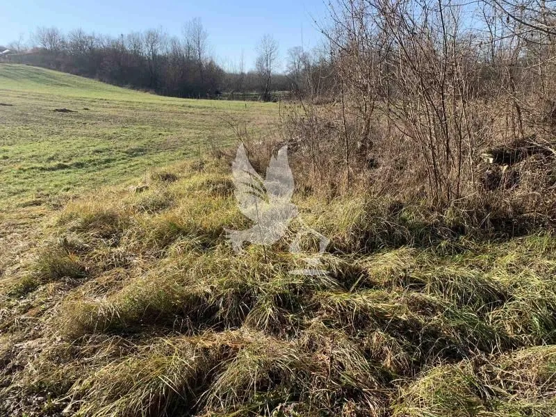 Prodaja, plac, 4000m², Koraćica, Mladenovac
