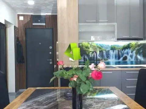 Izdavanje, dvosoban stan, 56m², Pantelej, Niš - image 9