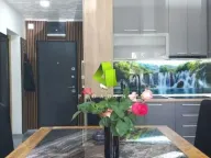 Izdavanje, dvosoban stan, 56m², Pantelej, Niš - image 9