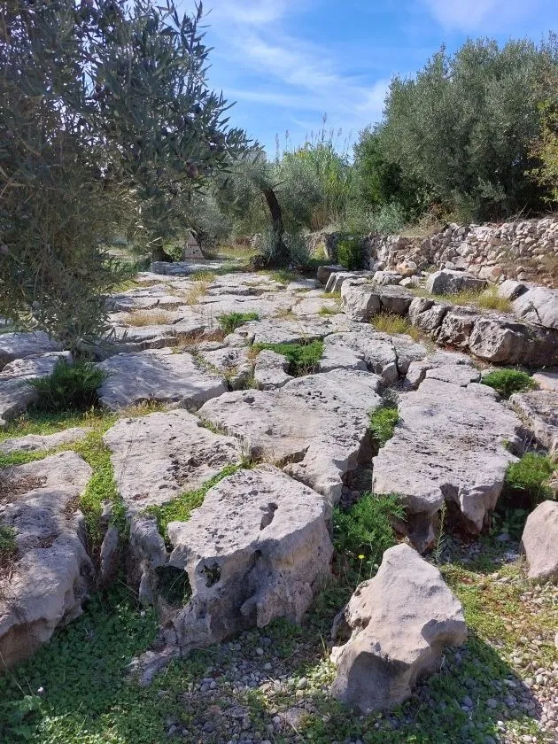 Prodaja, plac, 130m², Tivat, Crna Gora