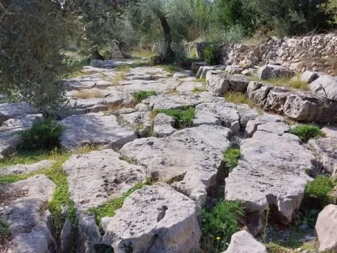 Prodaja, plac, 130m², Tivat, Crna Gora - image 2