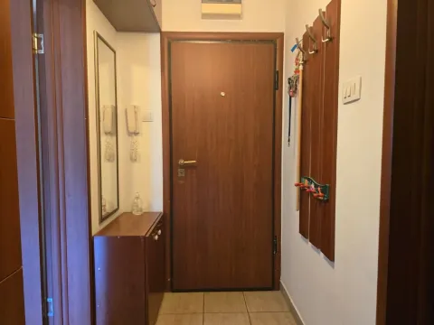 Rent, one bedroom apartment, 45m², Zagorič, Podgorica - image 9