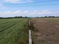 Prodaja, plac, 23000m², Šimanovci, Pećinci - image 2