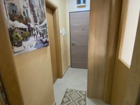 Izdavanje, jednosoban stan, 47m², Podgorica, Crna Gora - image 4