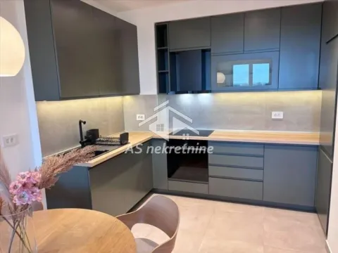 Izdavanje, dvosoban stan, 55m², Novi Beograd Sve Podlokacije, Beograd - image 9