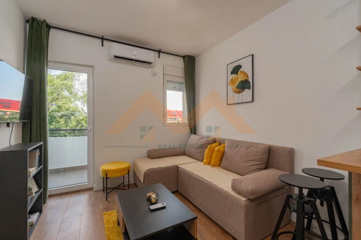 Izdavanje, jednosoban stan, 30m², Stari Aerodrom, Podgorica