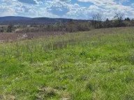 Sale, land lot, 11m², Parcani, Sopot - image 1