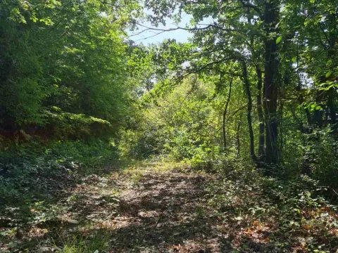 Prodaja, plac, 16700m², Glibavac, Nikšić - image 11