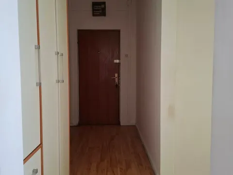 Izdavanje, jednosoban stan, 44m², Nova Detelinara, Novi Sad Sve Podlokacije - image 7