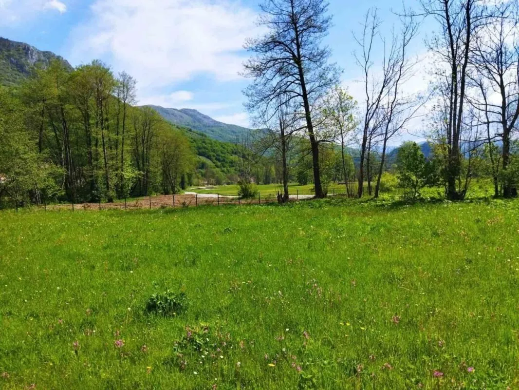 Sale, land lot, 10000m², Kolašin, Crna Gora