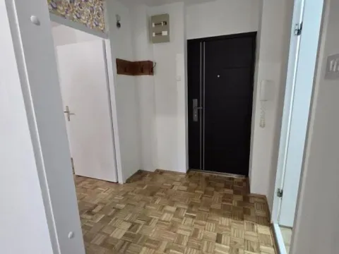 Izdavanje, jednosoban stan, 36m², Bulevar Oslobodjenja, Novi Sad Sve Podlokacije - image 5