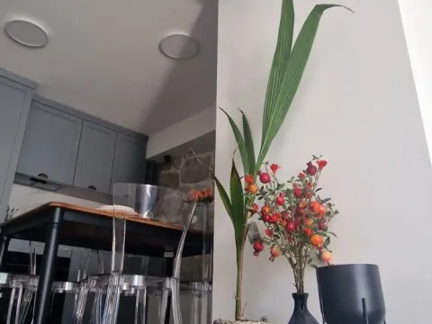 Izdavanje, kuća, 120m², Kuljače, Budva - image 9