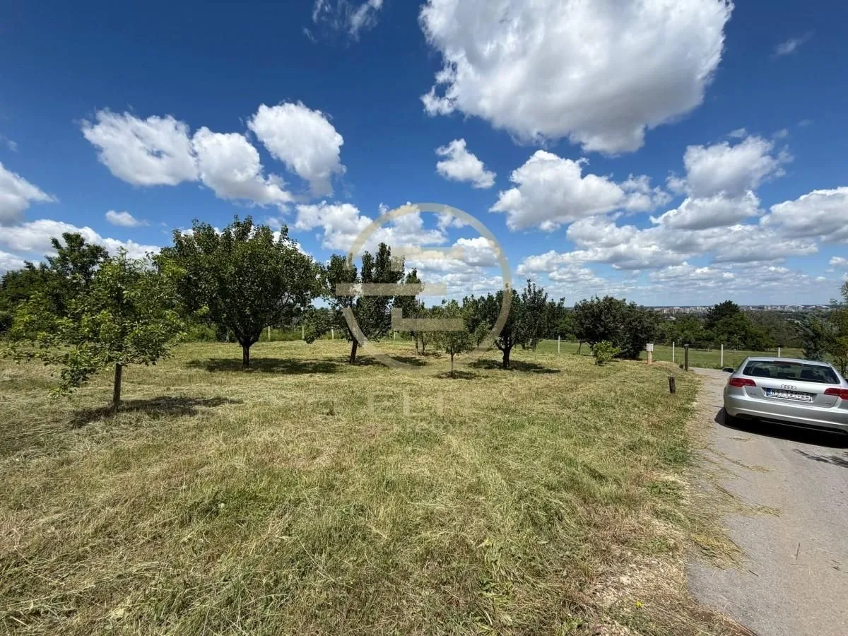 Prodaja, plac, 550m², Bocke, Petrovaradin