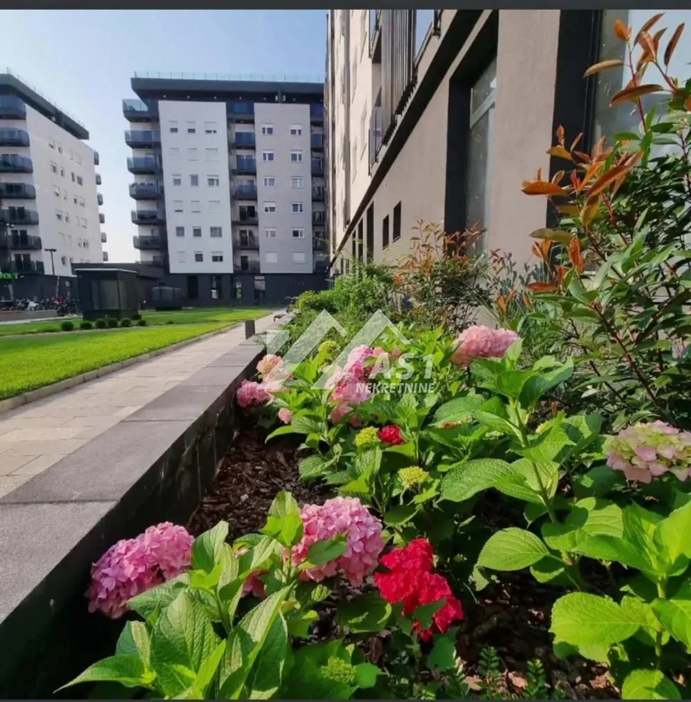 Izdavanje, dvosoban stan, 41m², Novi Sad Sve Podlokacije, Novi Sad