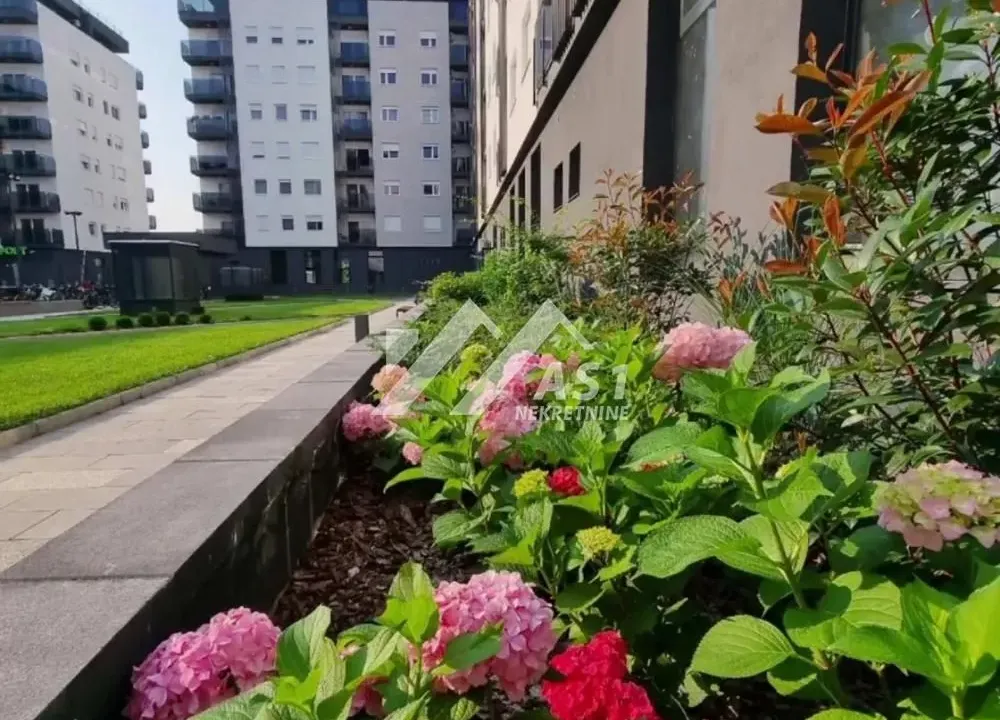 Izdavanje, dvosoban stan, 41m², Novi Sad Sve Podlokacije, Novi Sad