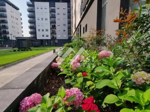 Izdavanje, dvosoban stan, 41m², Novi Sad Sve Podlokacije, Novi Sad - image 1